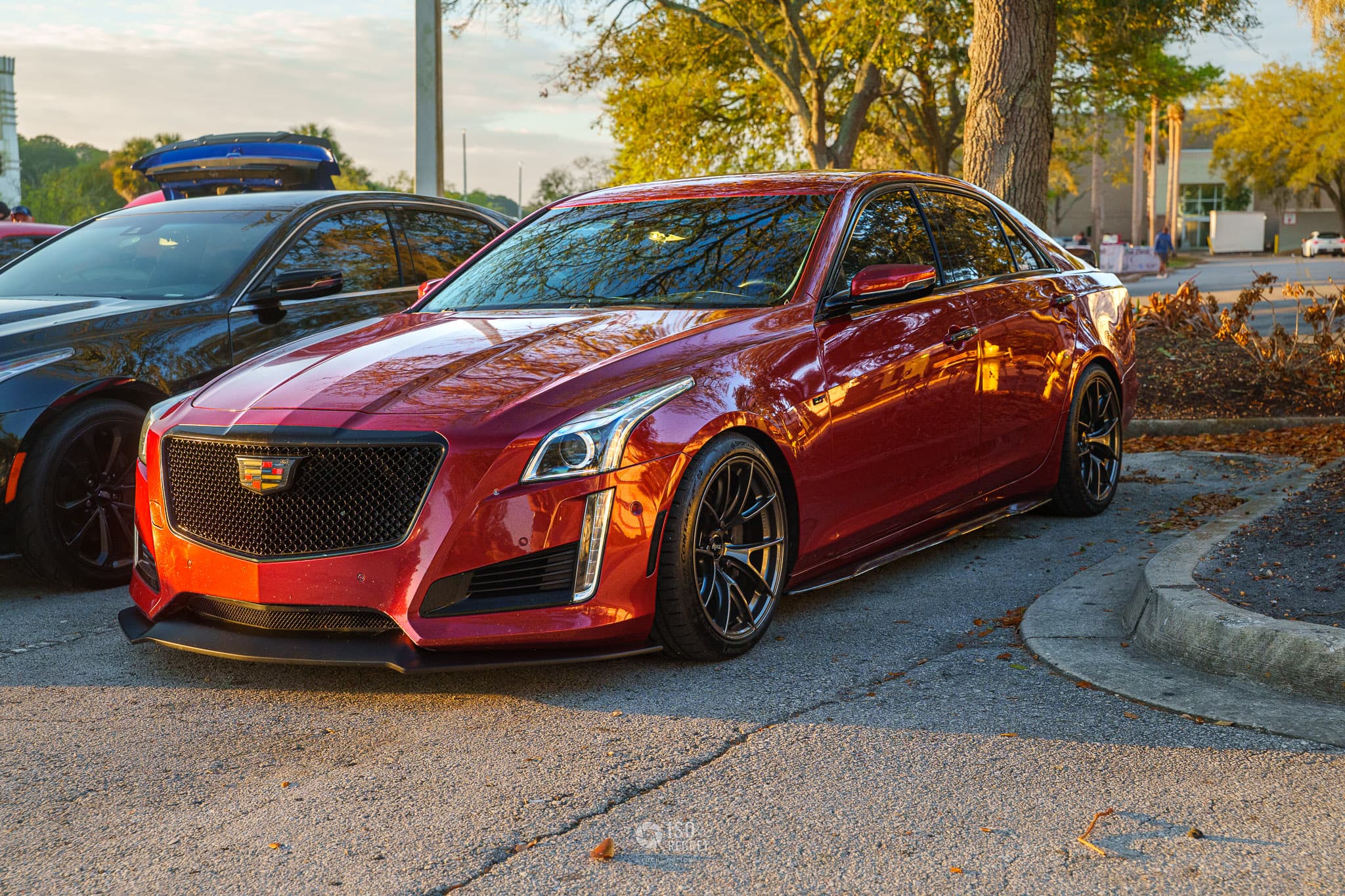 Caffeine and Octane — Jacksonville — photo 2