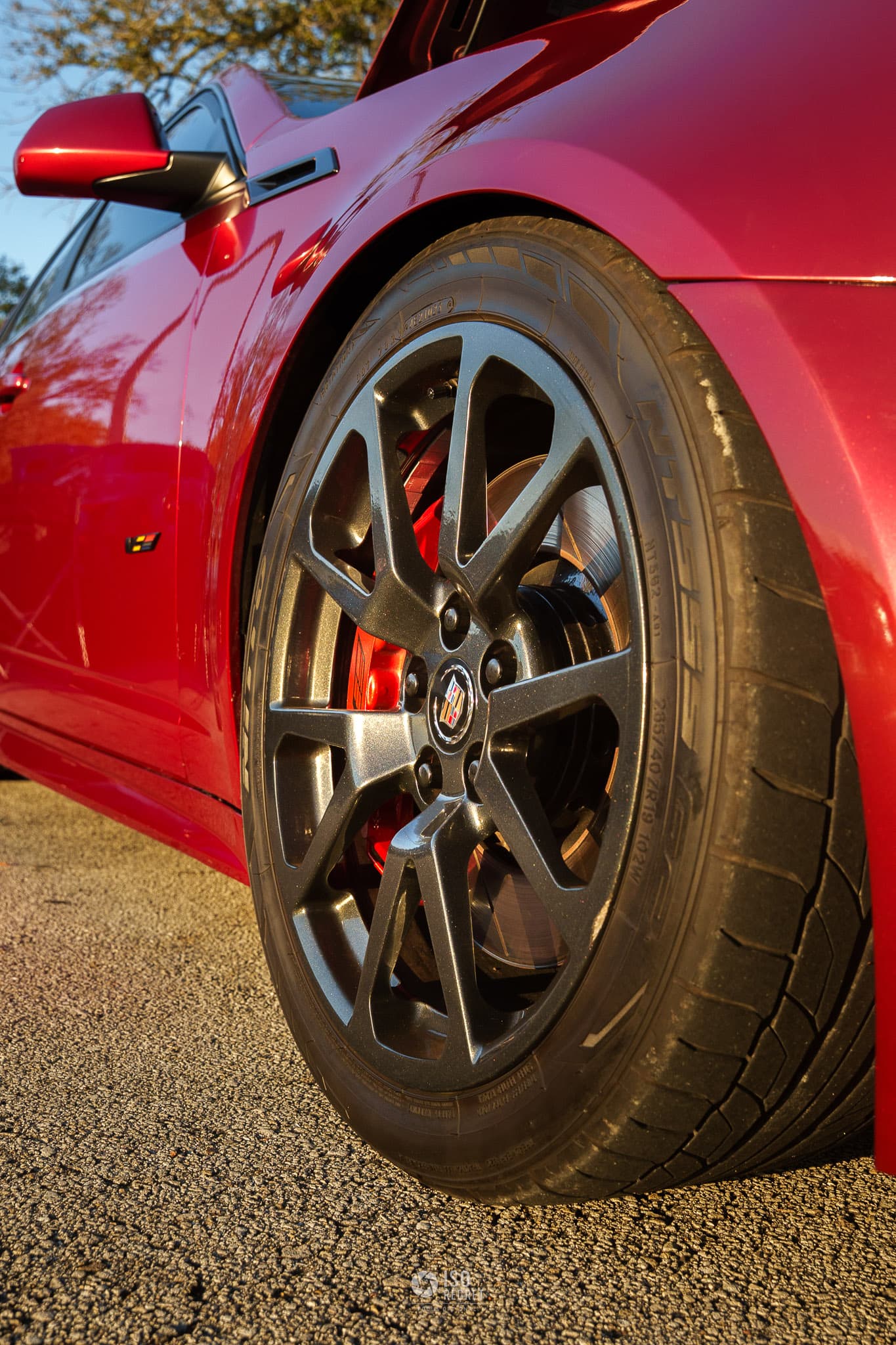 Caffeine and Octane — Jacksonville — photo 7