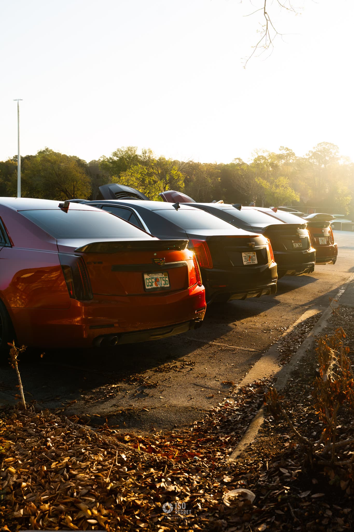 Caffeine and Octane — Jacksonville — photo 8