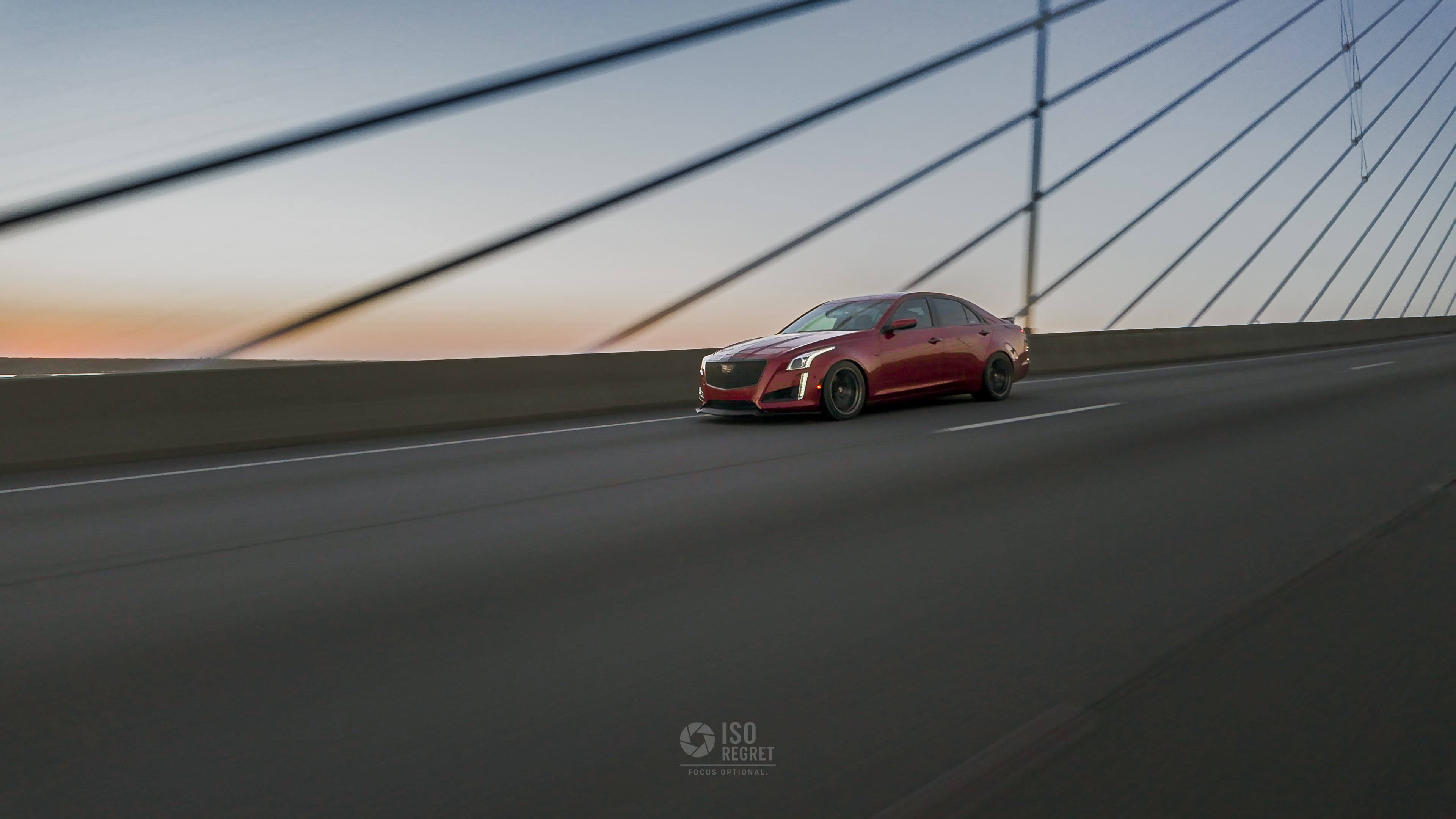 Dames Point — photo 39