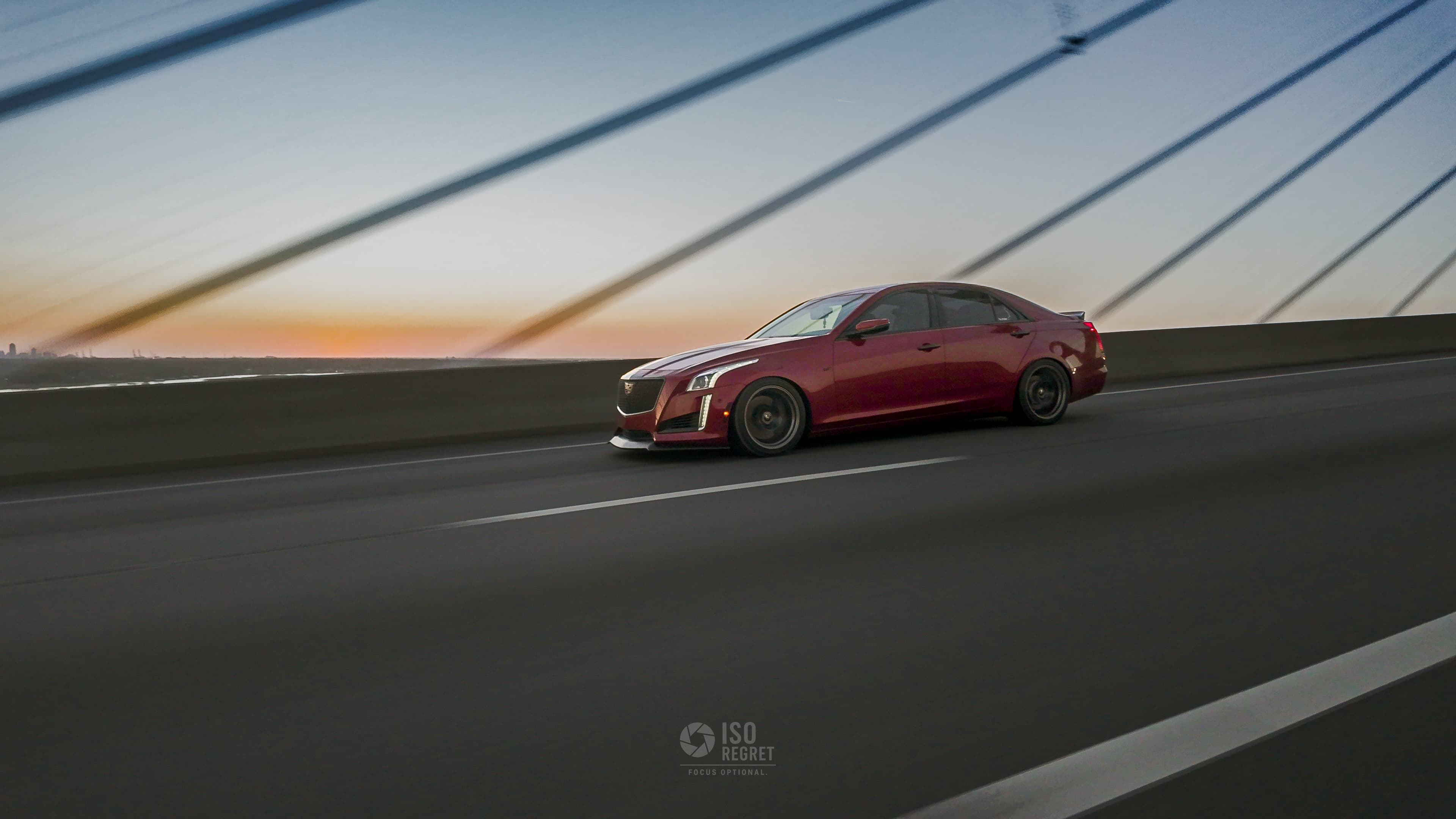 Dames Point — photo 40