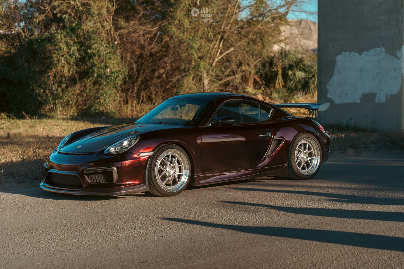 Dames Point — photo 2