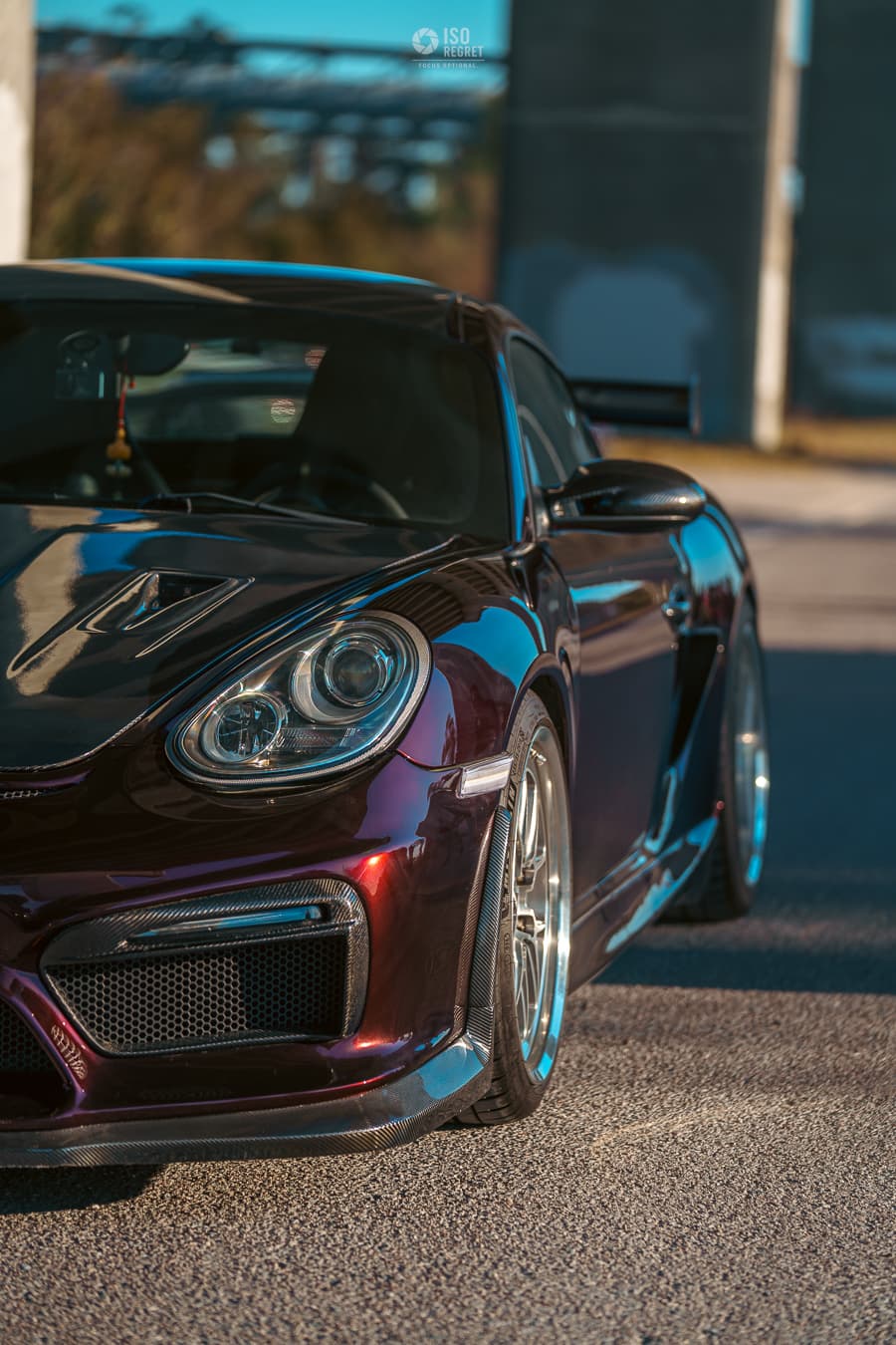 Dames Point — photo 6