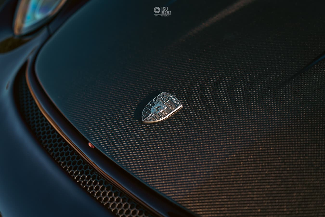 Dames Point — photo 7