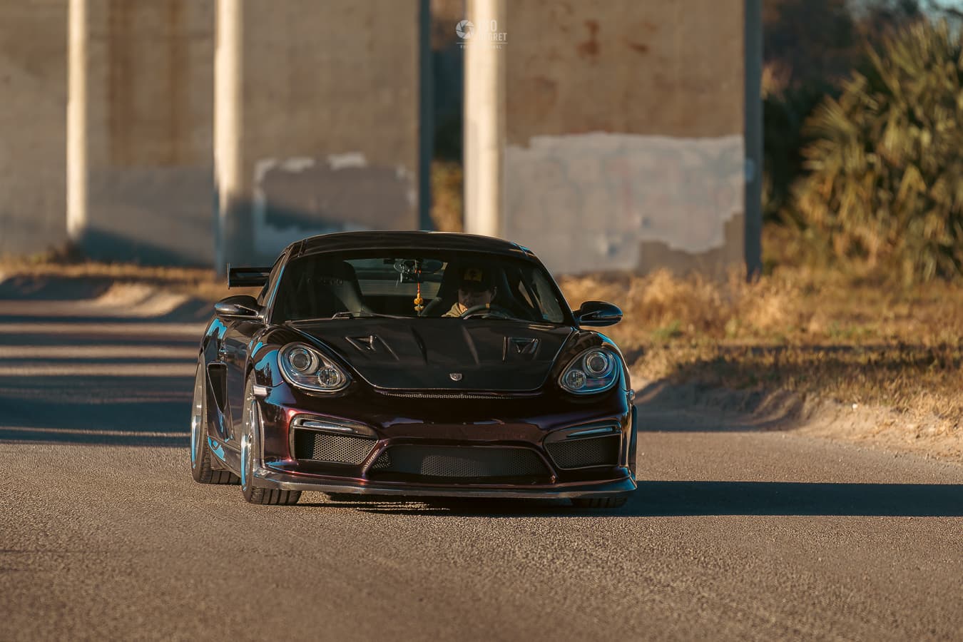 Dames Point — photo 8