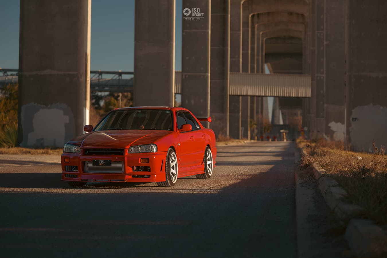 Dames Point — photo 13