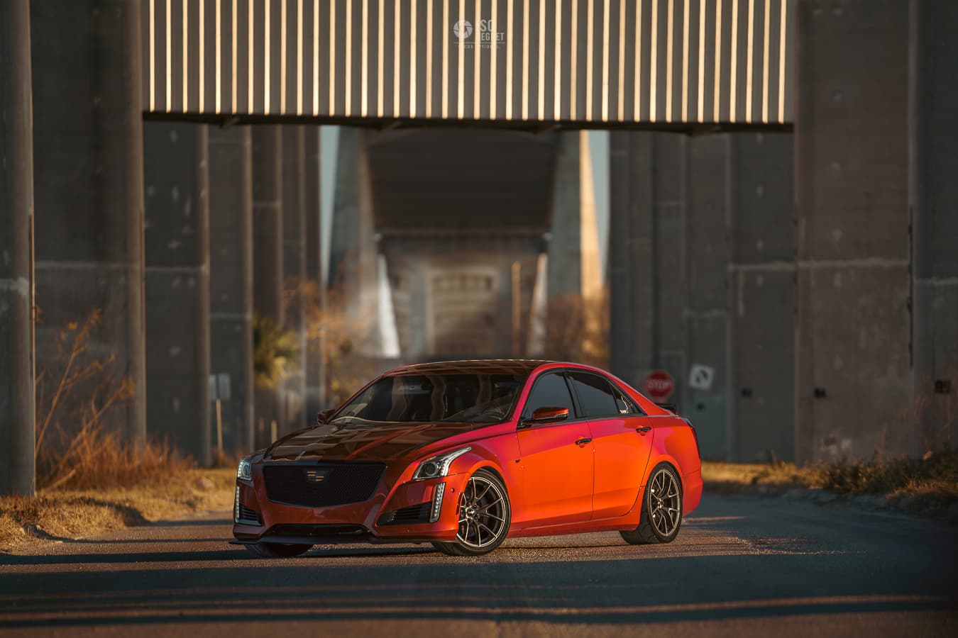 Dames Point — photo 21