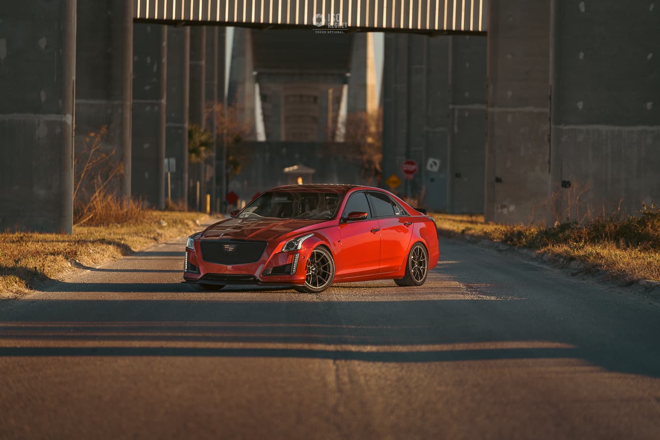 Dames Point — photo 22