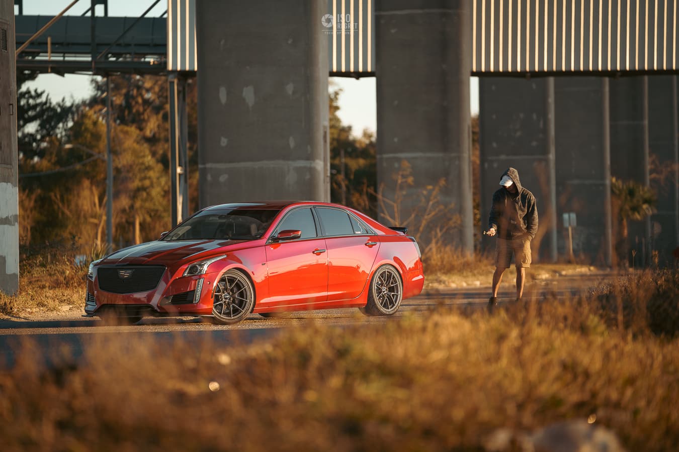 Dames Point — photo 23