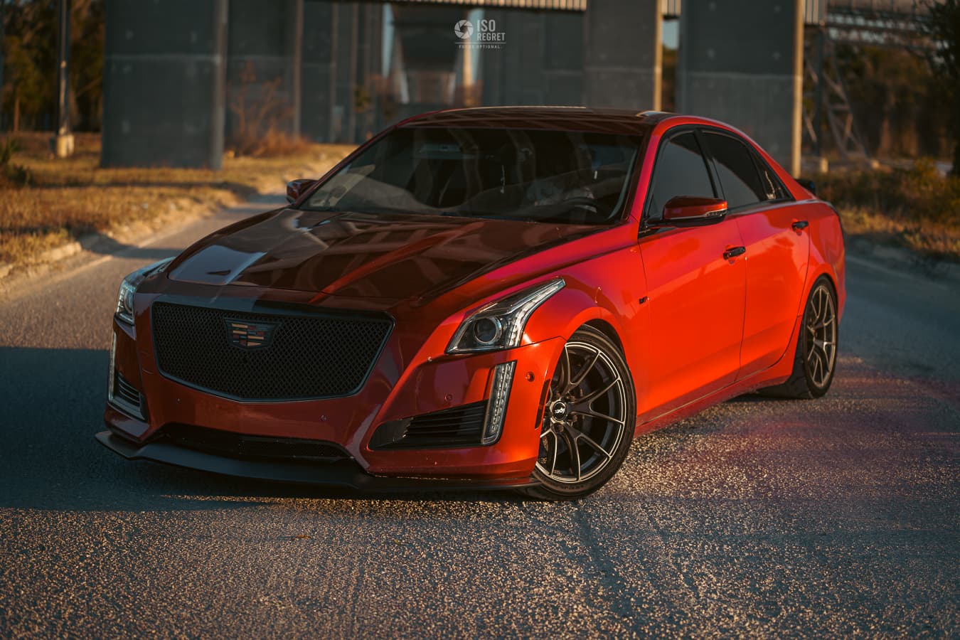 Dames Point — photo 24