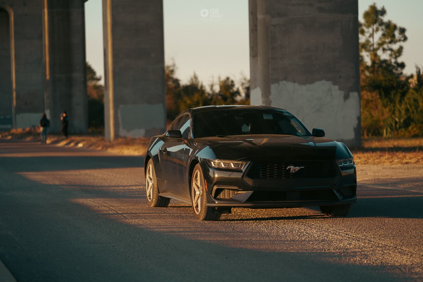 Dames Point — photo 25