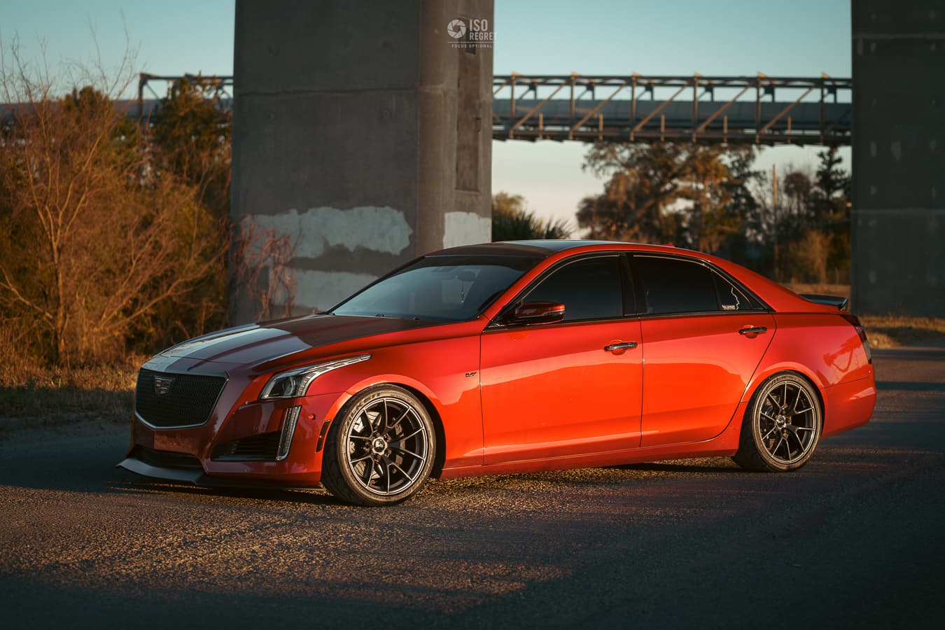 Dames Point — photo 26