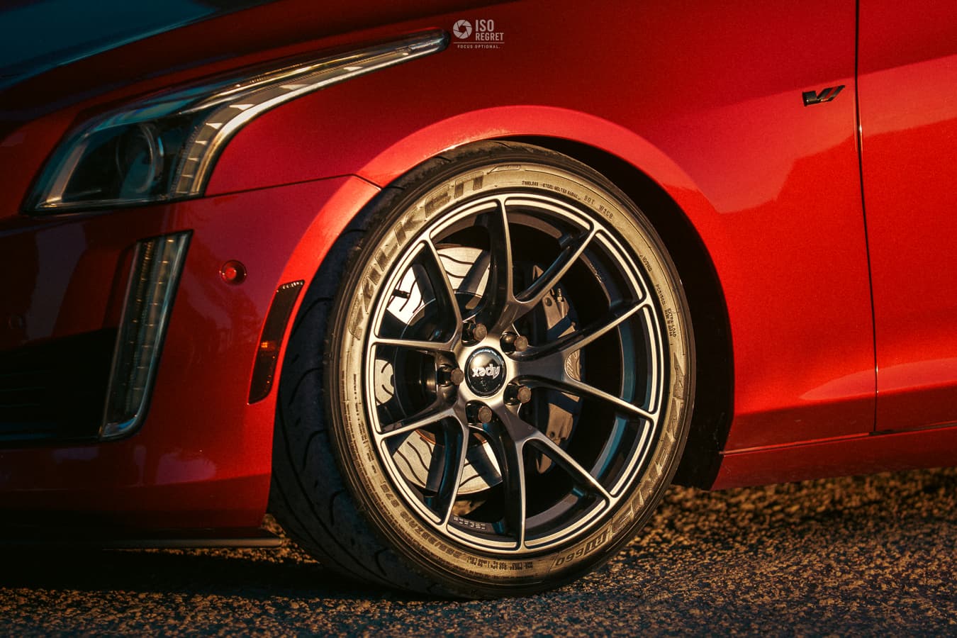 Dames Point — photo 27