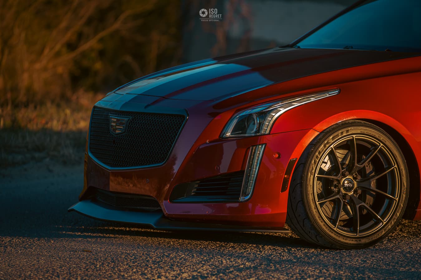 Dames Point — photo 28