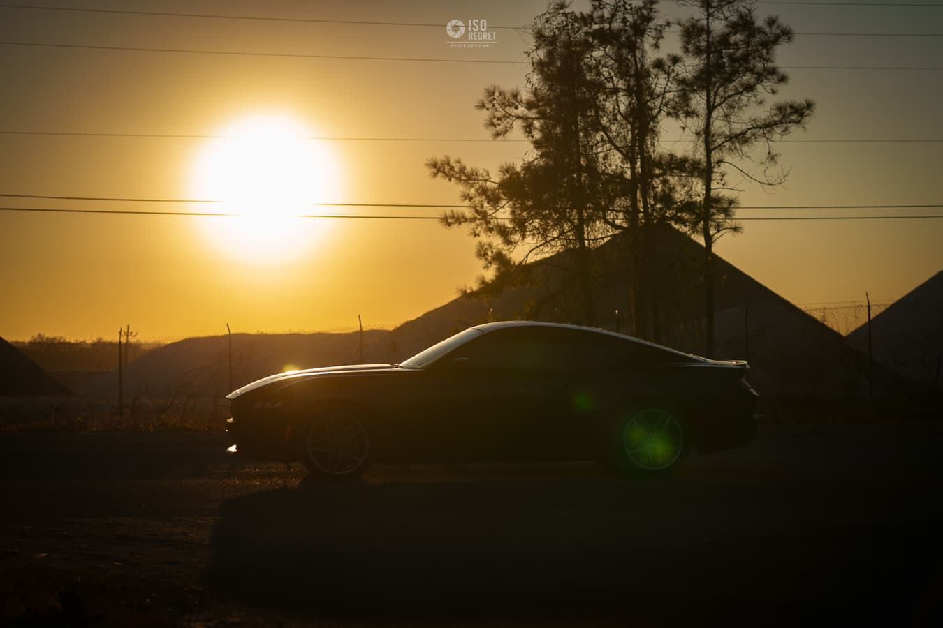 Dames Point — photo 29