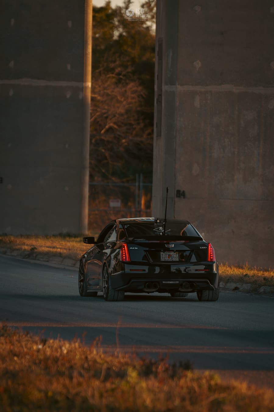 Dames Point — photo 31