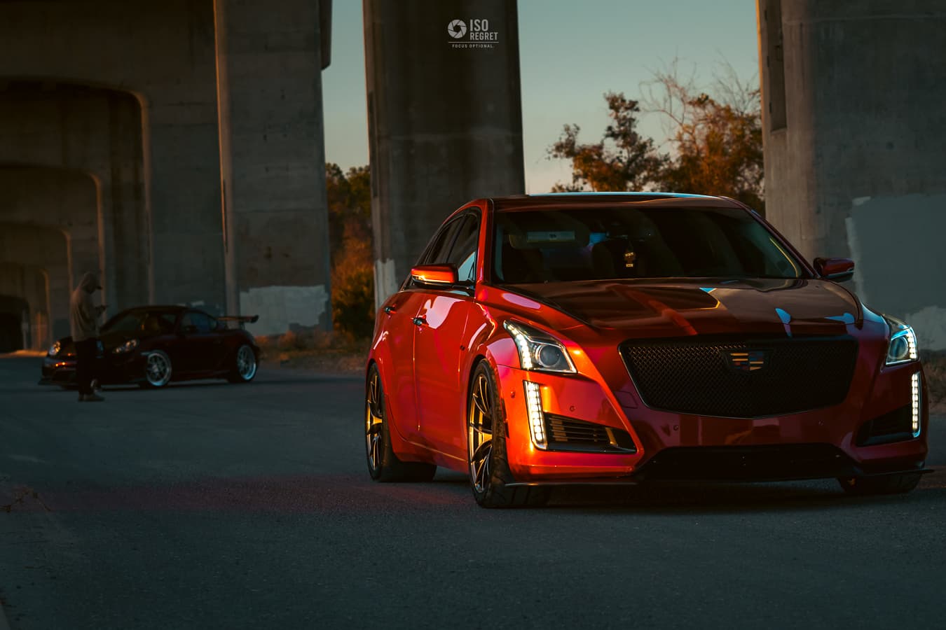 Dames Point — photo 33