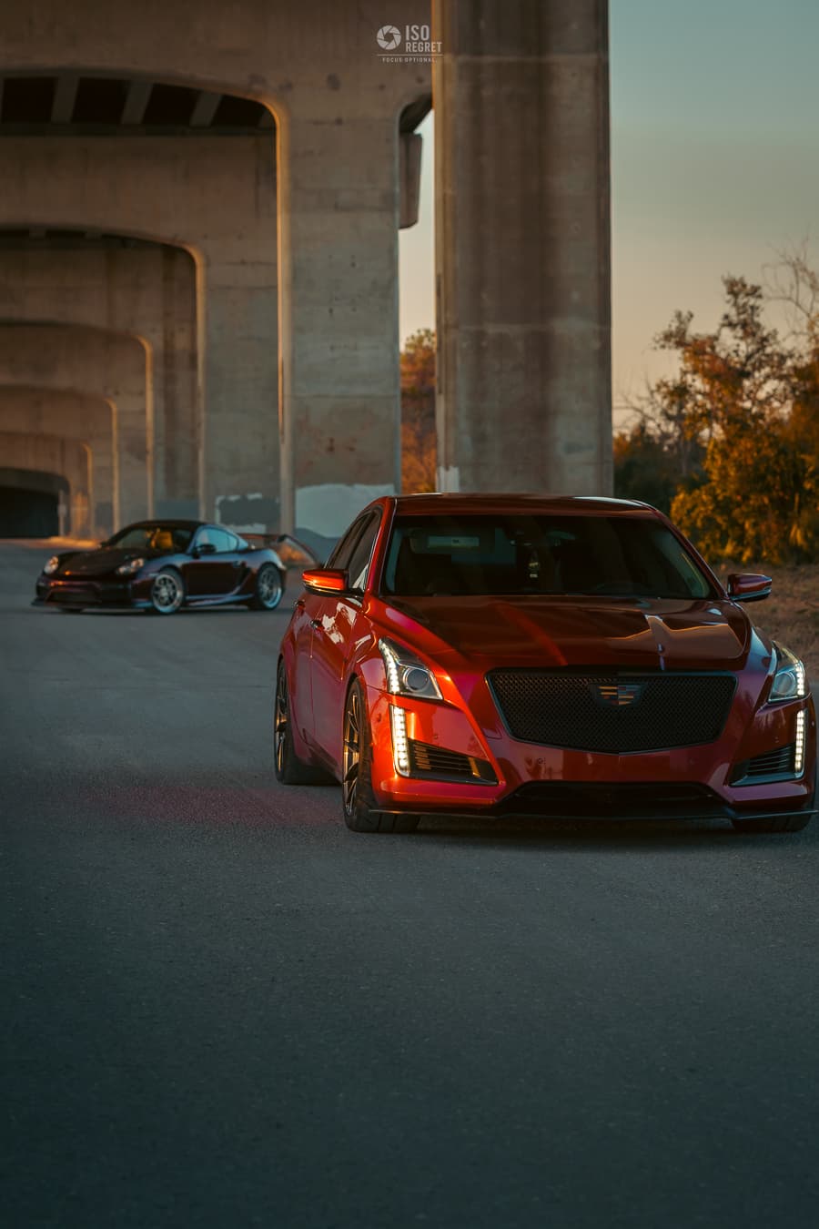 Dames Point — photo 34