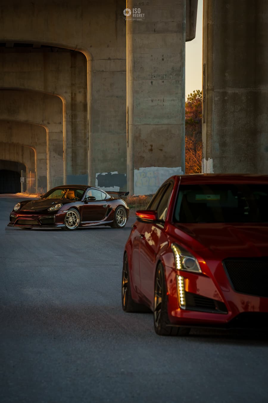 Dames Point — photo 36