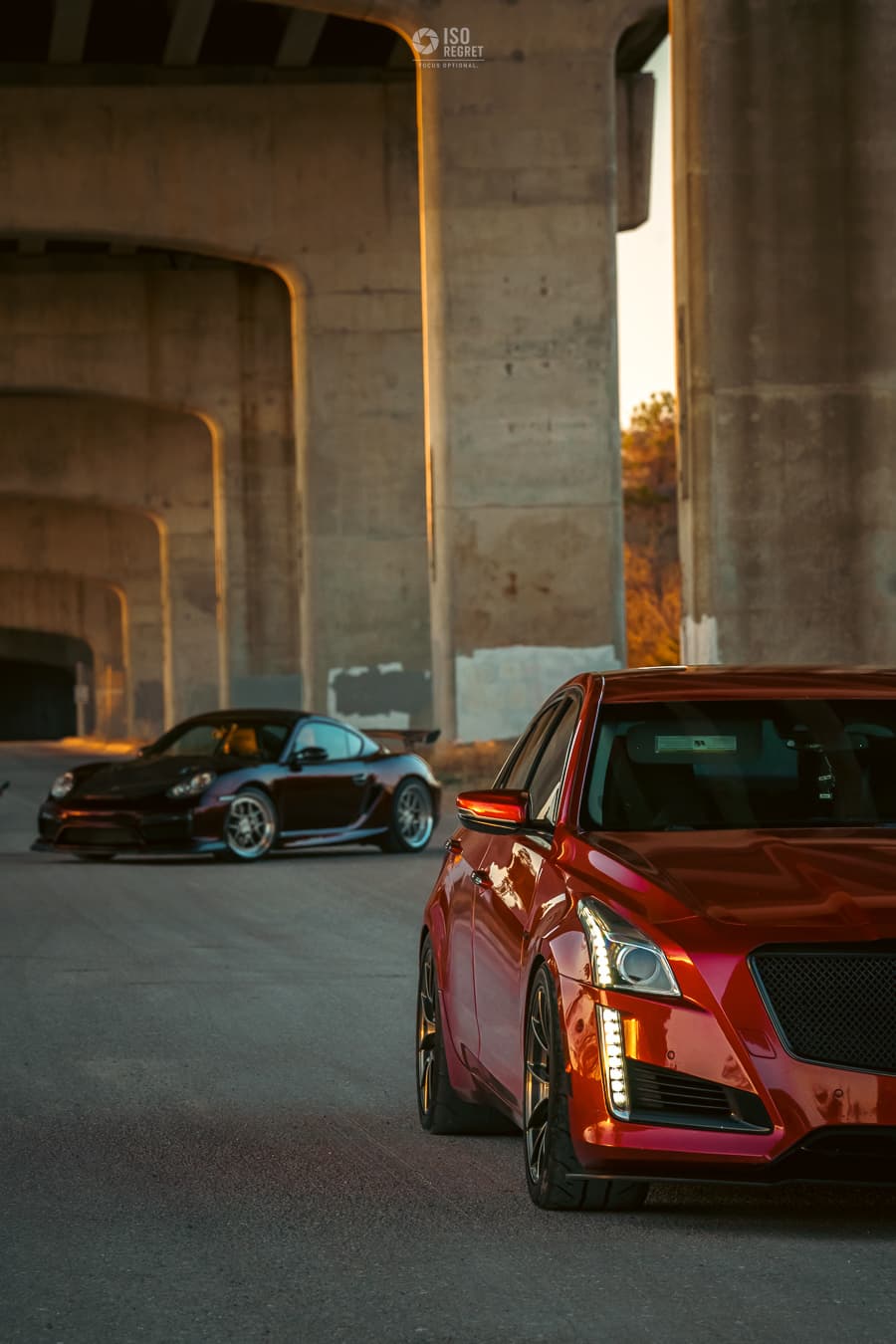 Dames Point — photo 37