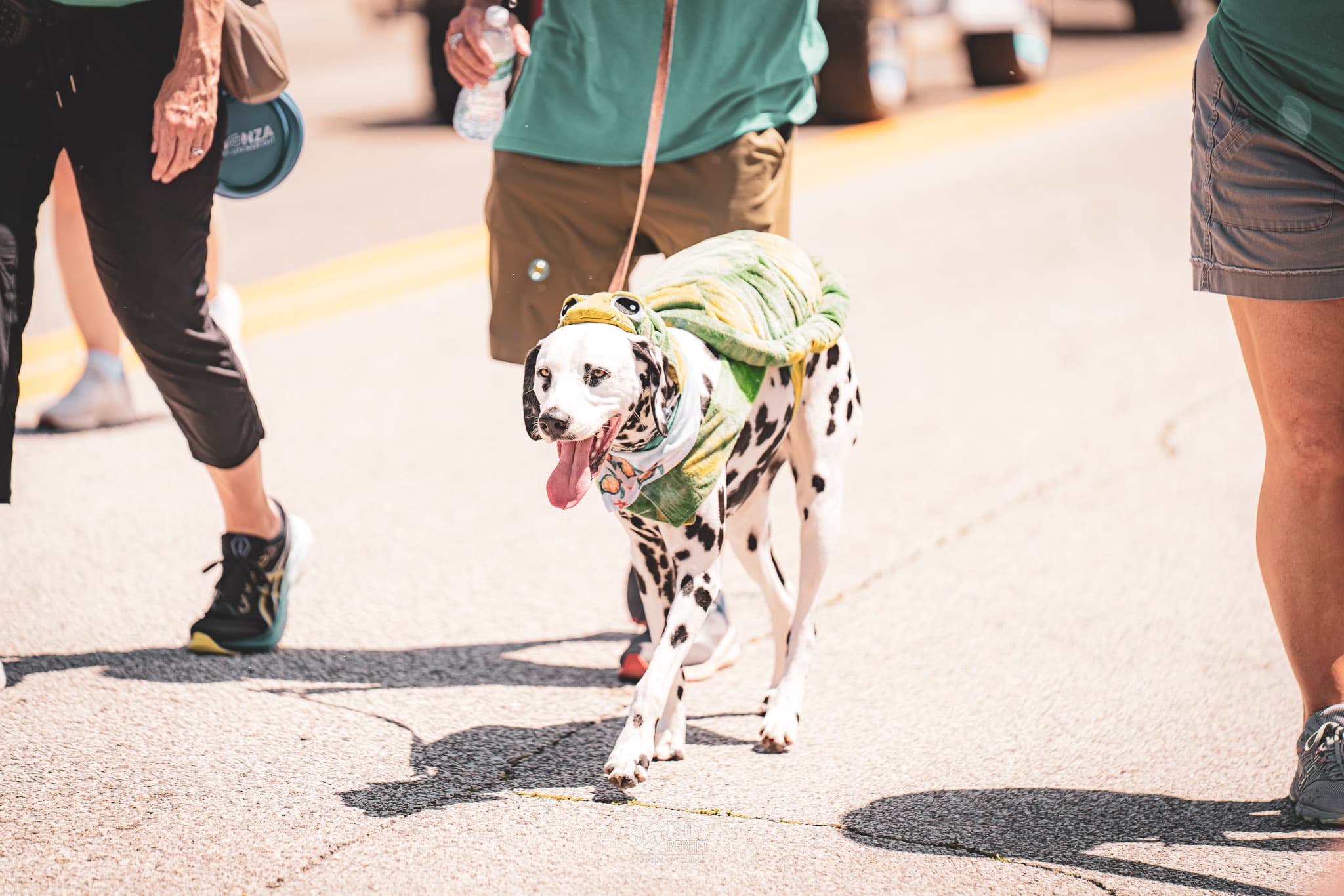 Opening of the Beaches