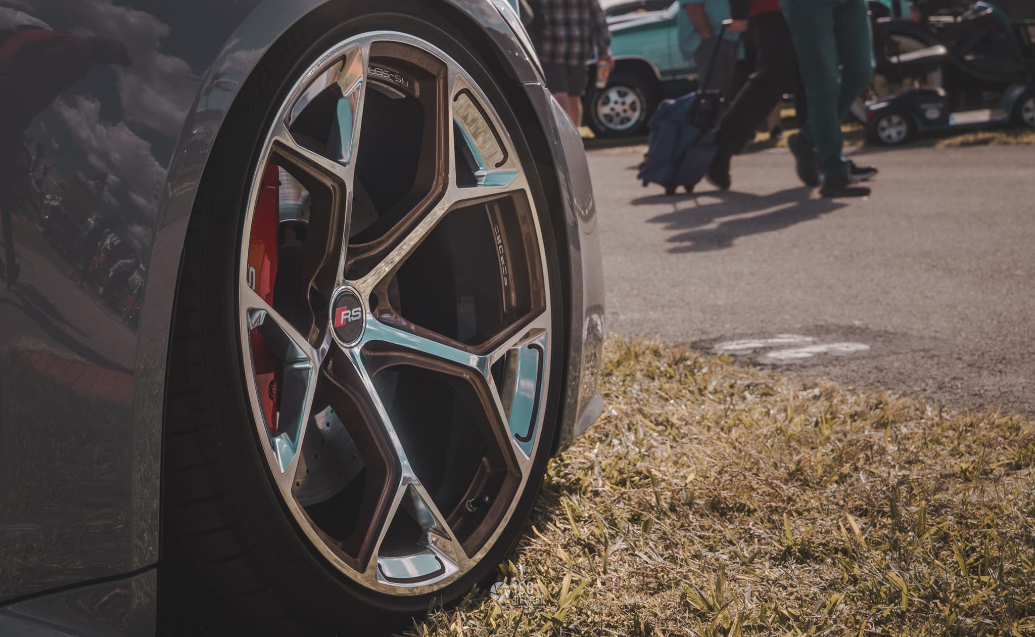 Turkey Rod Run — photo 21